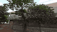 home-1